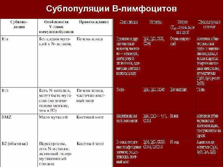 Основные субпопуляции т лимфоцитов. Функции субпопуляции т-лимфоцитов. субпопуляции b лимфоцитов.