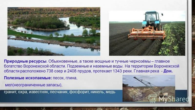 Экономика воронежской области проект