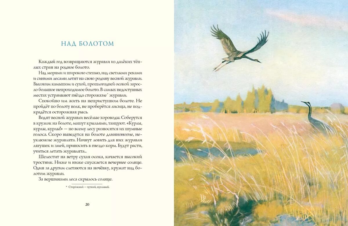 перелетные птицы улетают на юг. каждый год возвращаются журавли. в золотые осенние дни готовились к отлёту. птицы улетают. весной прилетели на болото журавли.
