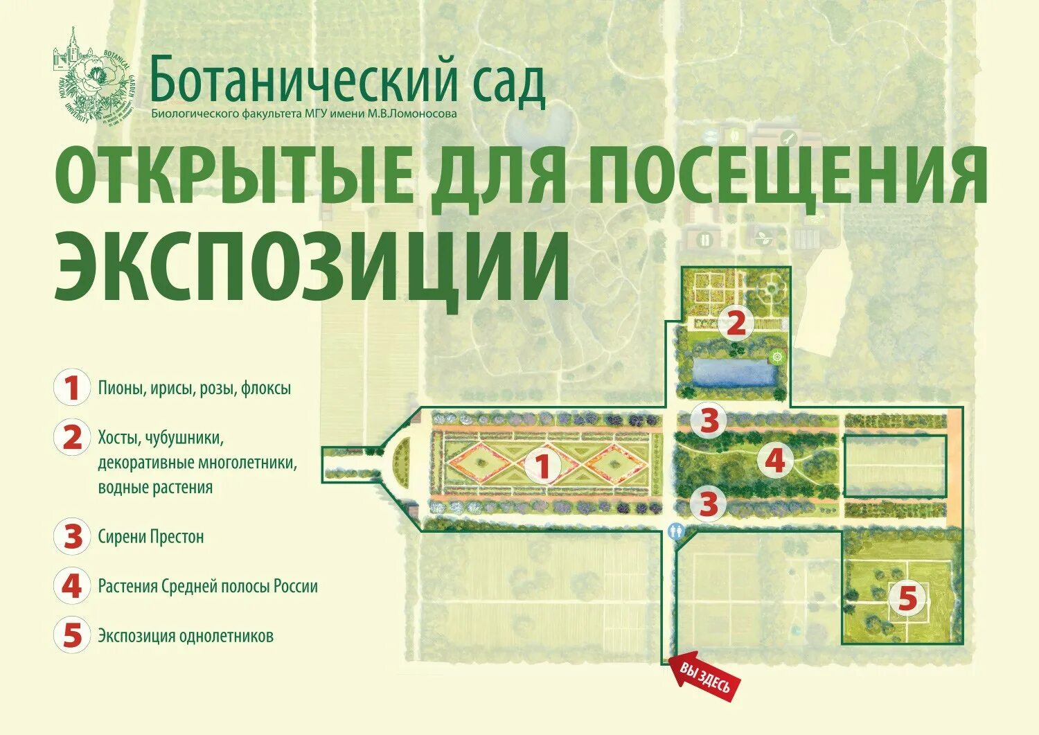 Ботанический сад спб билеты. Ботанический сад тбилиси схема. Ботанический сад мгу схема план. Ботанический сад мгу ломоносовский проспект. Ботанический сад москва билеты и расписание.