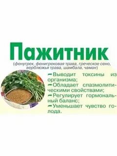 Пажитник с белорусского