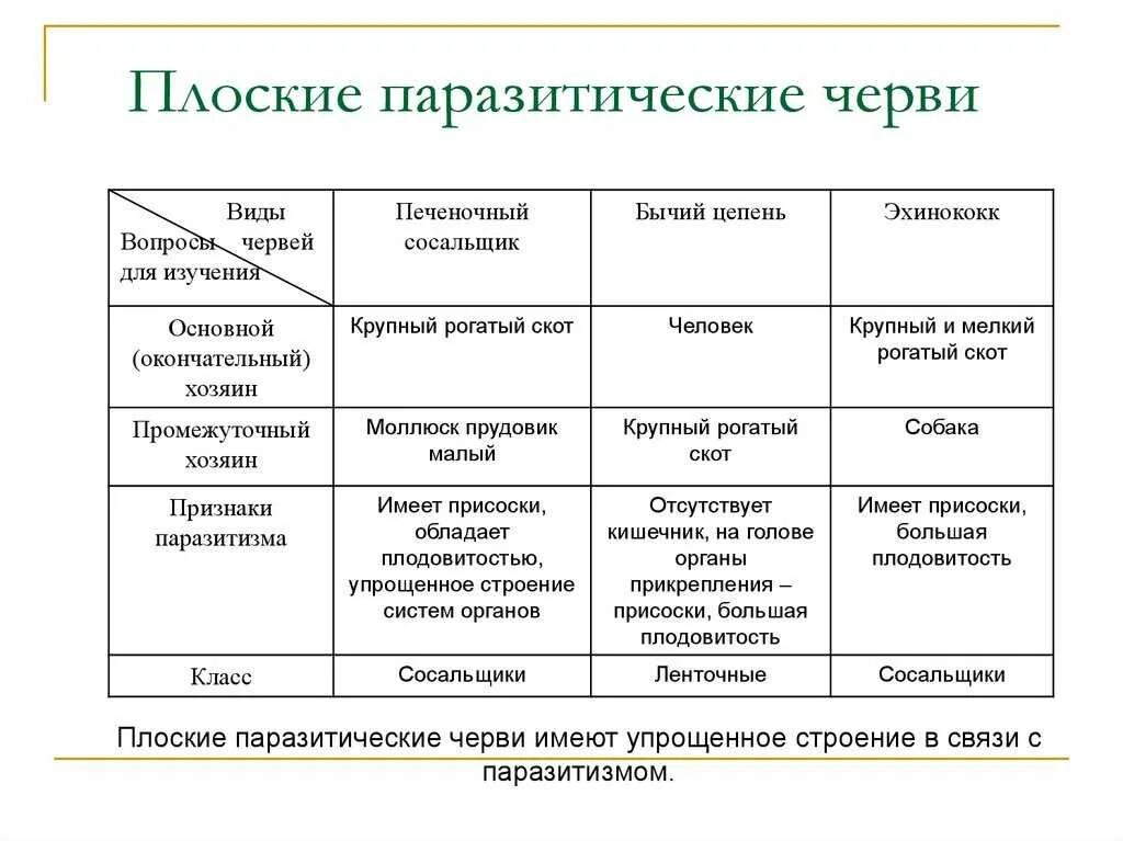 Образ жизни плоских червей. Сравнительная таблица плоские черви паразиты. Тип плоские черви 7 класс таблица червей. Плоские черви паразиты 7 класс таблица. Общая характеристика класса плоских червей таблица.