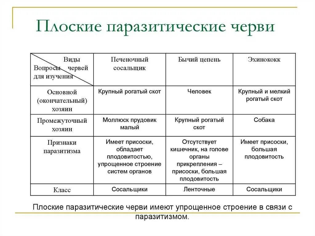 Признаки класса черви. Сравнительная таблица плоские черви паразиты. Плоские черви паразиты таблица 7 класс. Сравнительная характеристика плоских червей паразитов. Таблица по многообразию плоских червей.