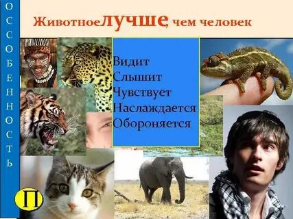 Хорошо обитатель