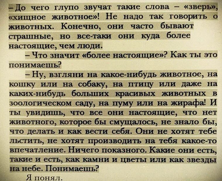 Степной волк цитаты. Гессе Степной волк цитаты из книги. Гессе Степной волк цитаты. Звучит глупо