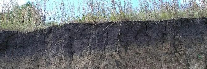 серые лесные и черноземные почвы. светло-серые лесные почвы. типы почв кбр. почвенный профиль серой лесной почвы. черноземы и серые лесные.