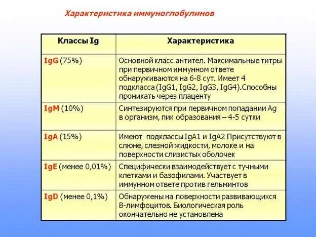 Определение иммуноглобулинов класса g. Иммуноглобулин свойства и функции. классы иммуноглобулинов и их функции. иммуноглобулины, их свойства. классы иммуноглобулинов, их функции.. классификация иммуноглобулинов антител.