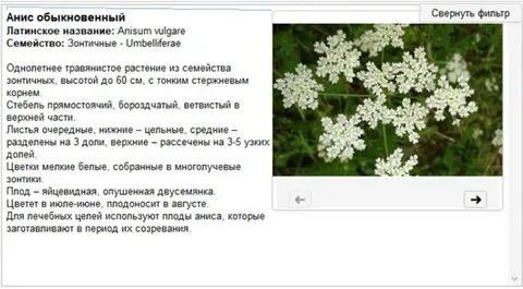 Обыкновенный на латыни