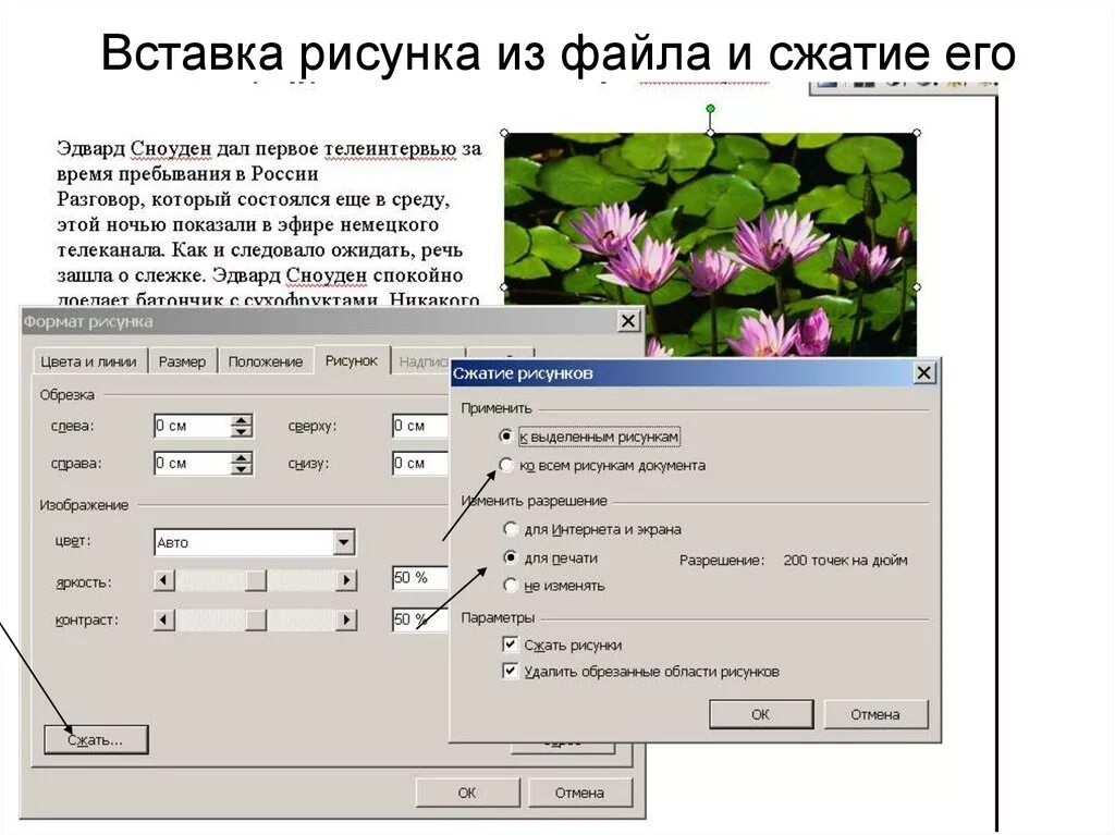 Сжать картинку. Рисунки для вставки. Алгоритм вставки рисунка в документ. Сжатие рисунок. Сжать рисунки в Word.