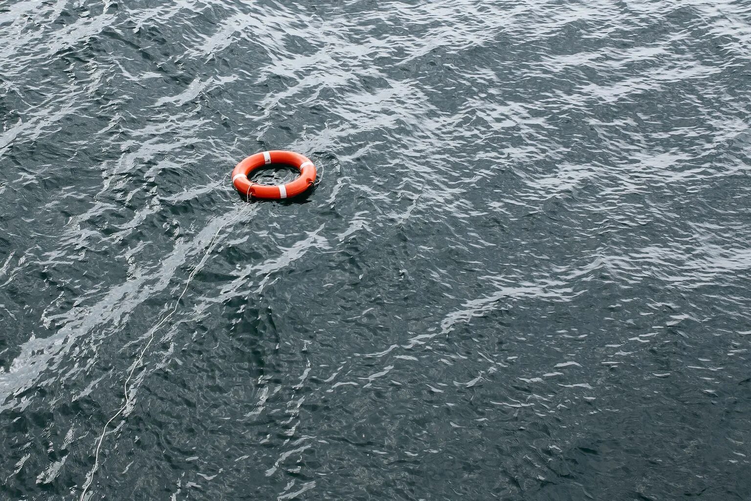 Кал плавает на поверхности воды. Спасательный круг на воде. Спасательный круг на волнах. Спасательный круг в темной воде. Кольца на водной поверхности.