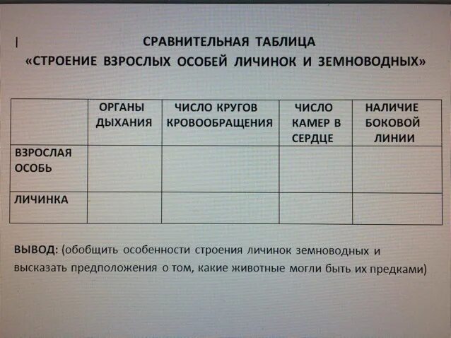 Таблица земноводных 8 класс. Сравнение строение личинок и взрослых особей земноводных таблица. Сравнение личинки и взрослой особи земноводных. Сравни строение личинок и взрослых особей. Сравните строение личинок и взрослых особей земноводных таблица.