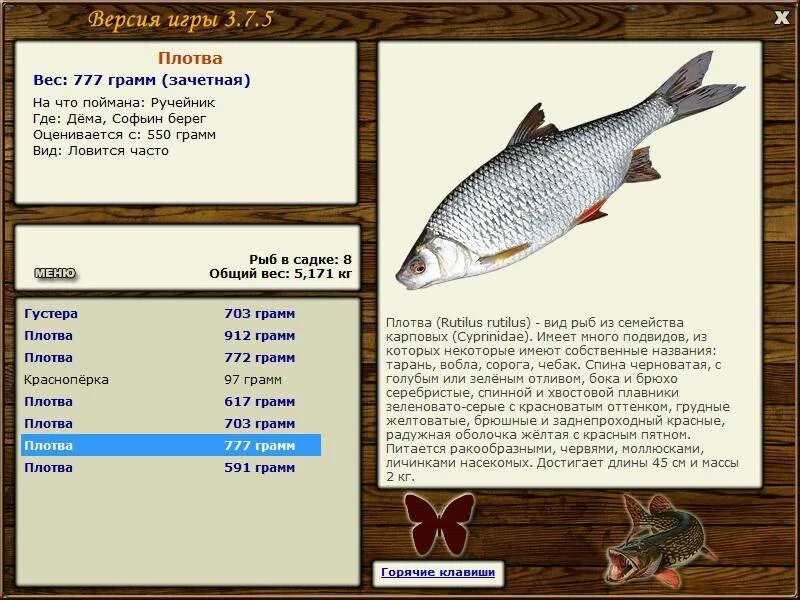 Где карта плотвы