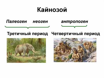Кайнозойская горы абсолютная высота