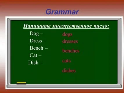 Скамья во множественном