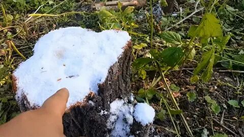 Земля белый радостно пух