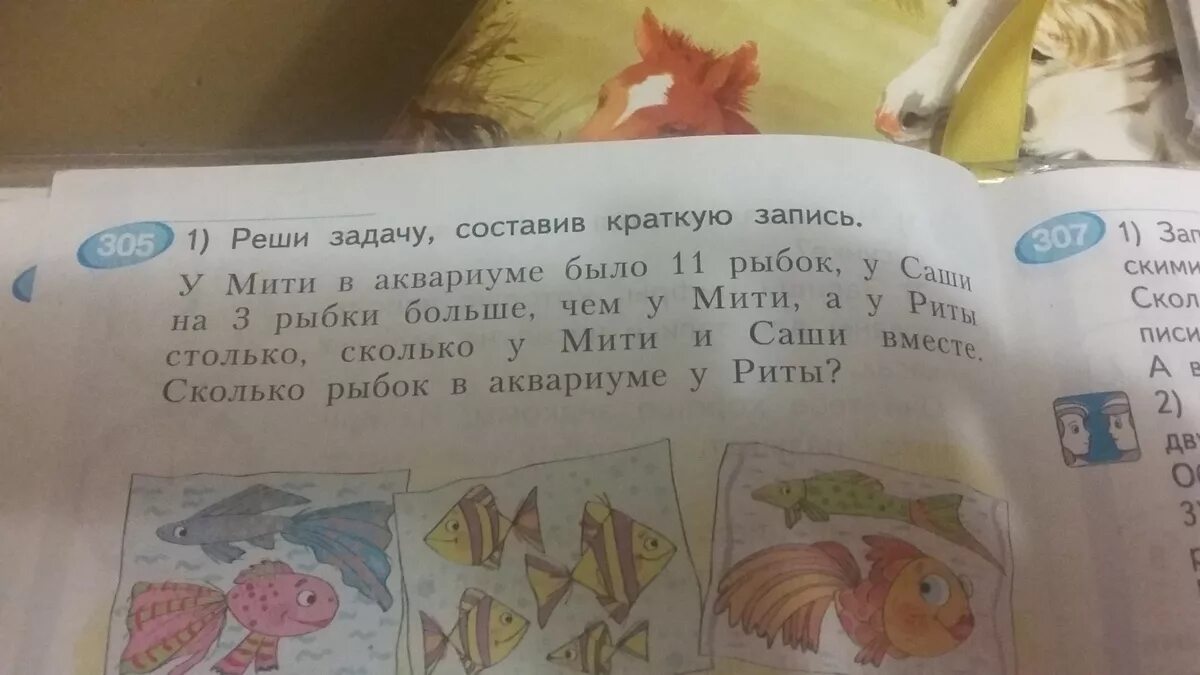 У мити в аквариуме было 11 рыбок у Саши на 3. В 4 аквариумах по 3 рыбки запись задачи. У мити в аквариуме было 11 рыбок краткая запись. Задачу и условие в аквариуме было сначала несколько рыбок. В 10 аквариумах было поровну рыбок