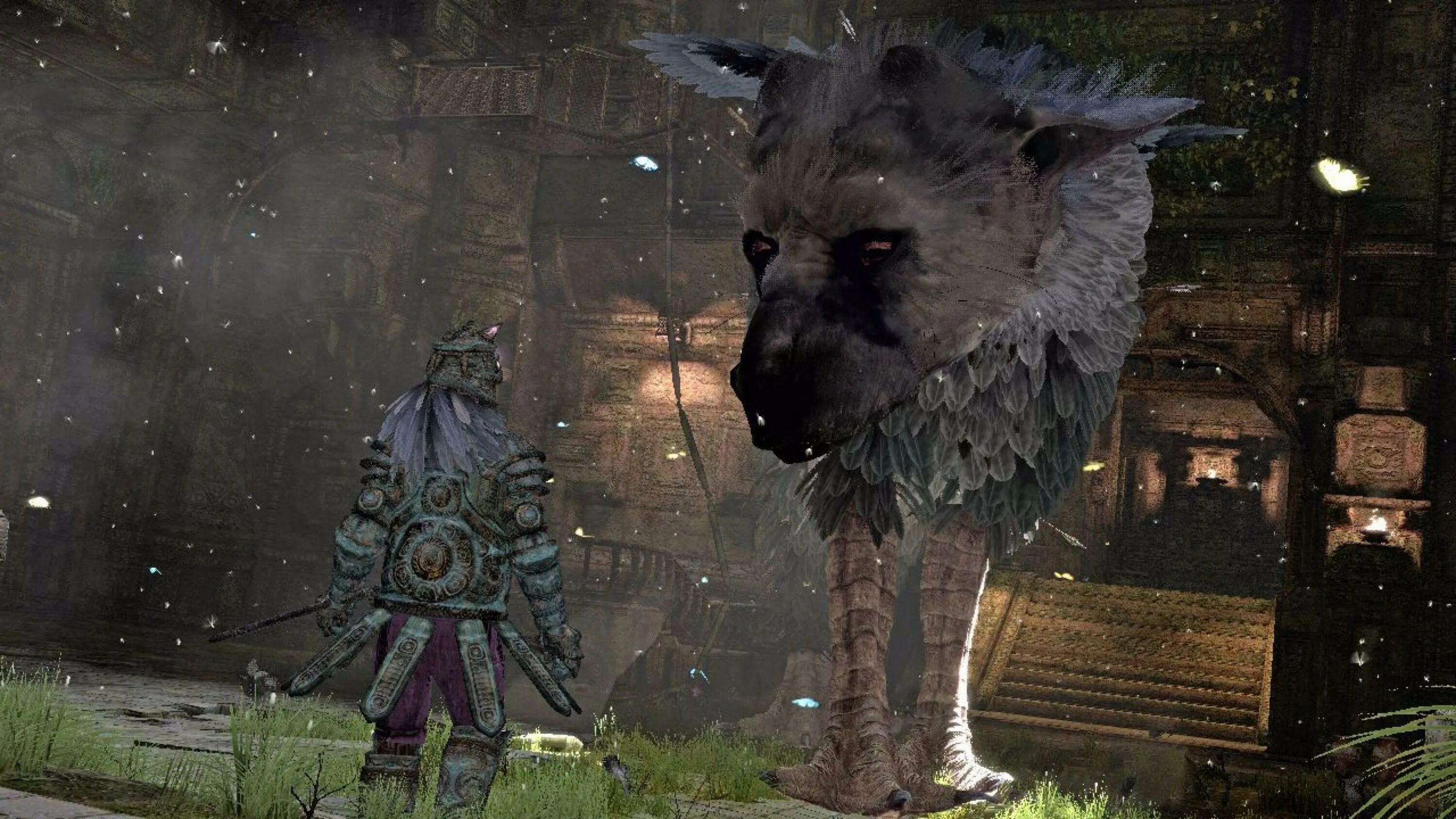 Зе ласт гардиан. Трико ласт Гардиан. Трико the last Guardian. ТРИКОХА the last Guardian. The last Guardian последний хранитель.