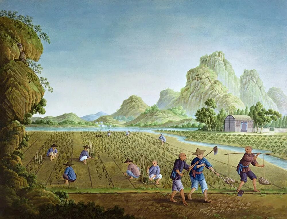 Новейшее время хозяйство. Рисовые поля Япония 18 век. 17-18 Век Китай земледельцы. Китай 17 век земледелие. Сельская община Китая 16 век.