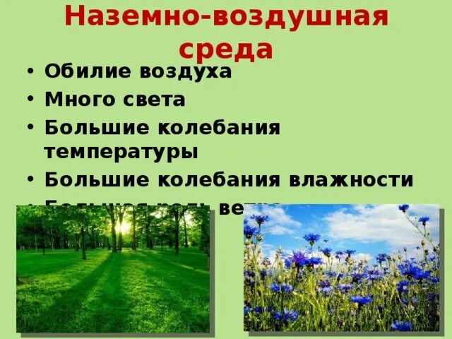 Какая наземно воздушная среда. Свет в наземно воздушной среде. влажность в наземно воздушной среде. колебания температур в наземно воздушной. световой режим наземно воздушной среды.