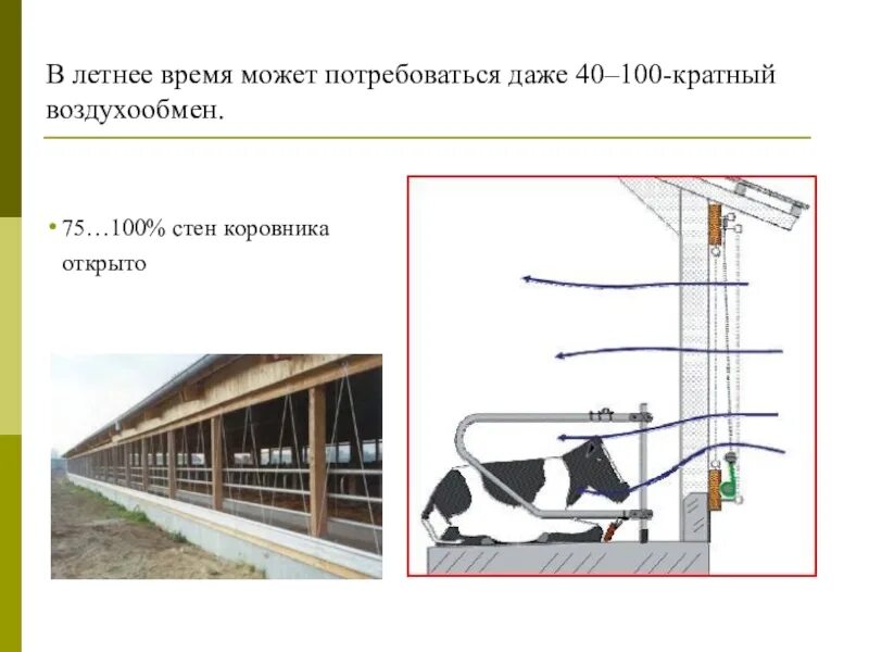 Системы содержания животных