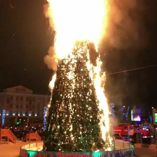 Нло елочка гори. Раз, два, три! елочка, гори!. новогодняя елочка горит. картинки новый год в россии елка горит. новый год но выгорел.