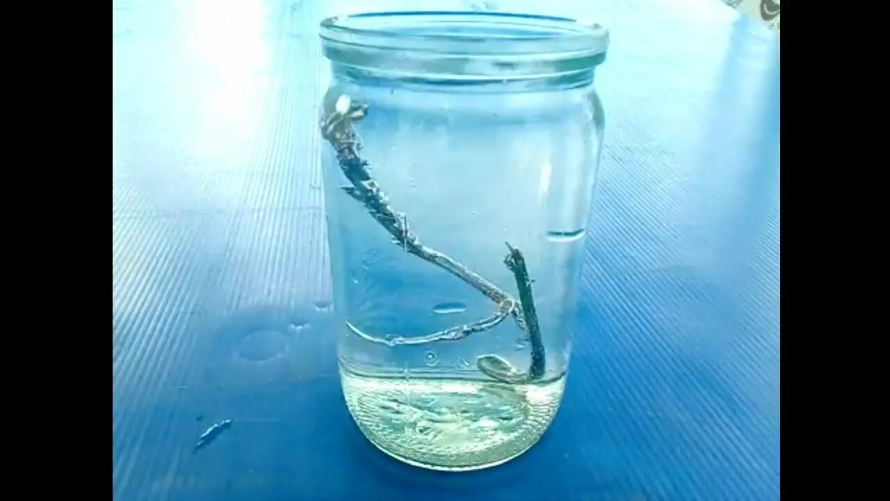 Свинцов и вода. Свинец в воде. свинцовая вода. свинец в воде тонет. свинец через воду.