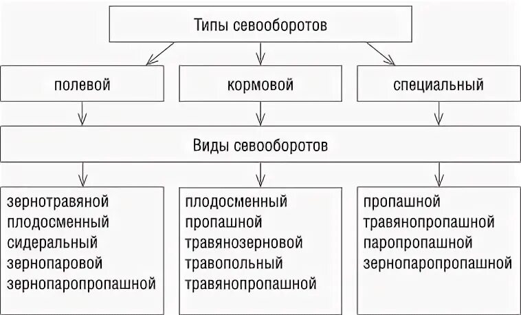 Типы севооборотов