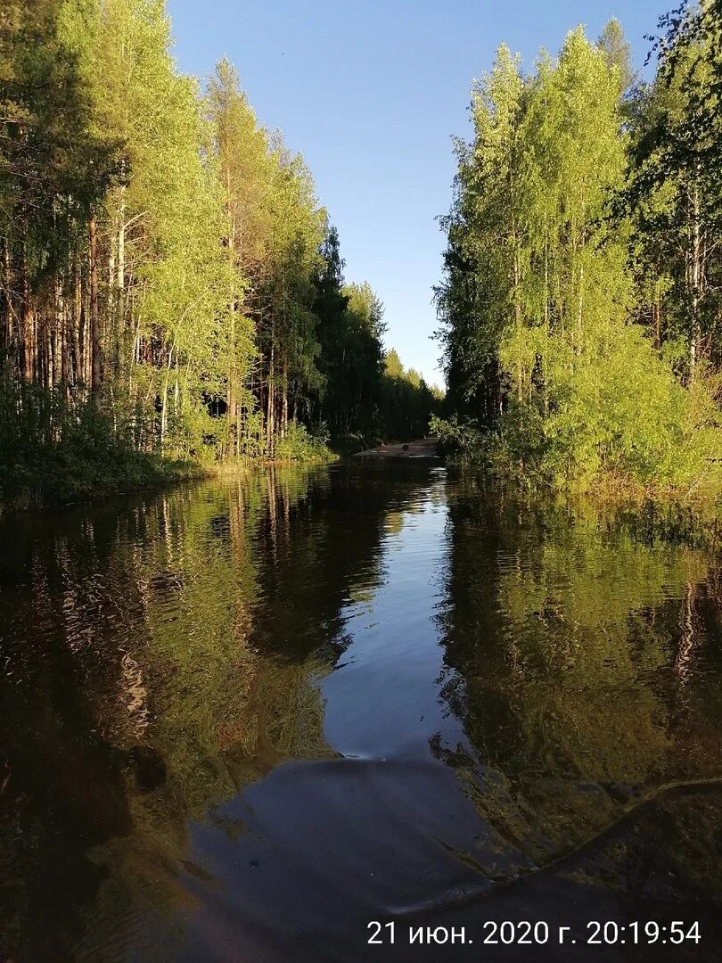 Погода кривые озера. Пинега Архангельская область. Озёра Пинежского района Архангельской области. Исток реки Пинега. Река Пинега.