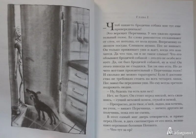 Сколько страниц в рассказе собака. Пеннак даниэль &quot;собака пес&quot;. пеннак собака пес книга. даниэль пеннак собака пес иллюстрации. иллюстрация книги собака пес.