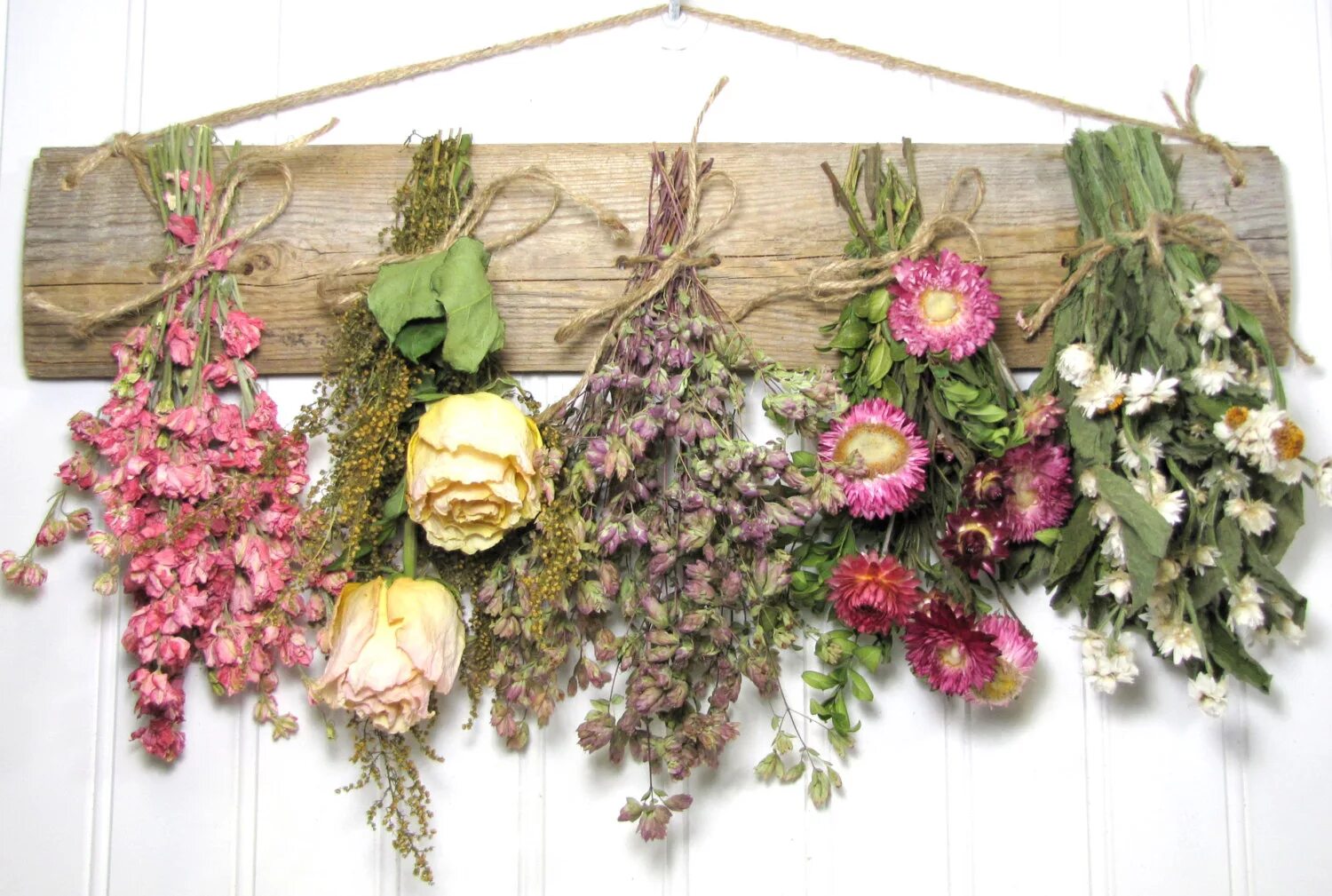 Эриантус сухоцвет. Лаванда цветки сушёные. Можно хранить сухие цветы дома. Сушка сухоцветов. Сухоцвет вуд флавер.