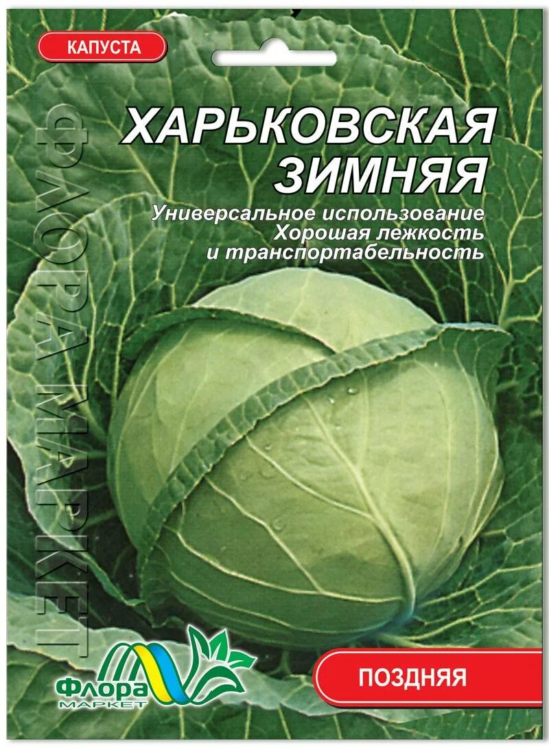 Семена капуста харьковская зимняя. Капуста харьковская зимняя описание отзывы. Капуста харьковская зимняя описание отзывы. Капуста белокочанная июньская описание. Сорт капусты харьковская.