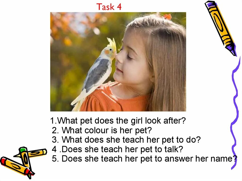Questions about pets. Let&#039;s talk about pets. your favorite animal вопросы. what is your favorite pet. what are pets doing ?.