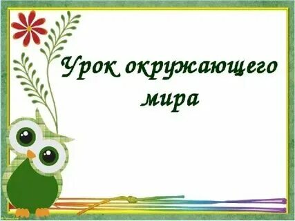 Презентация к урокам это