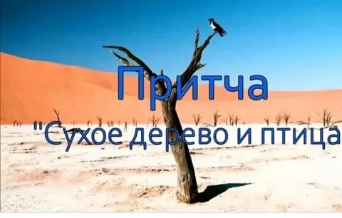 Притча птицы