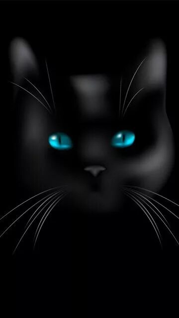 X3d animation black cat