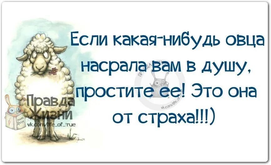 Хороший был день правда. Не обращать внимание цитаты. Не обращай внимания на дураков цитаты. Не обращай внимания цитаты. Цитаты, не обращайте внимание.