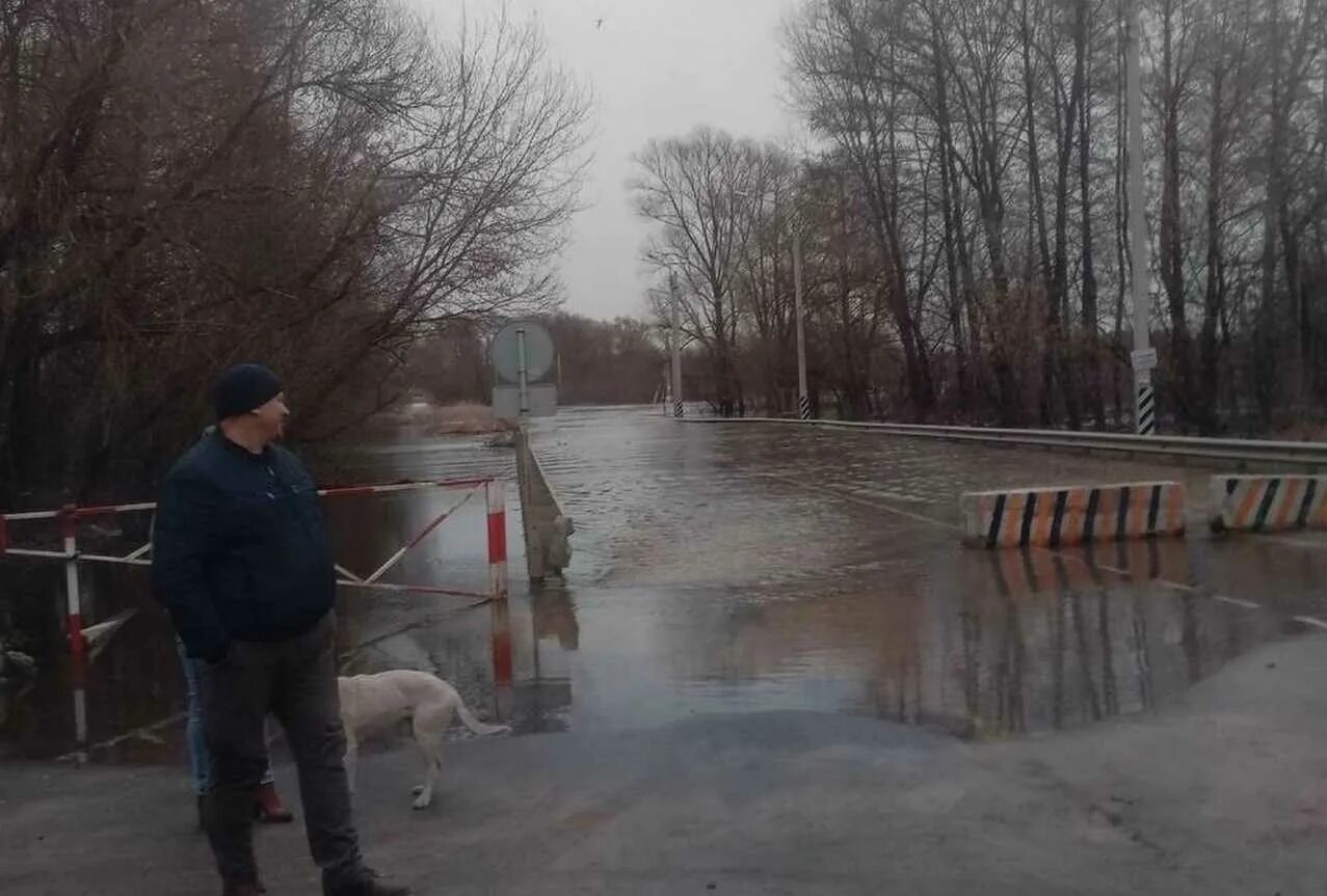 Половодье в воронежской области 2024. Пляж Лимпопо Рамонь Воронеж. Паводок. Паводок Воронеж.