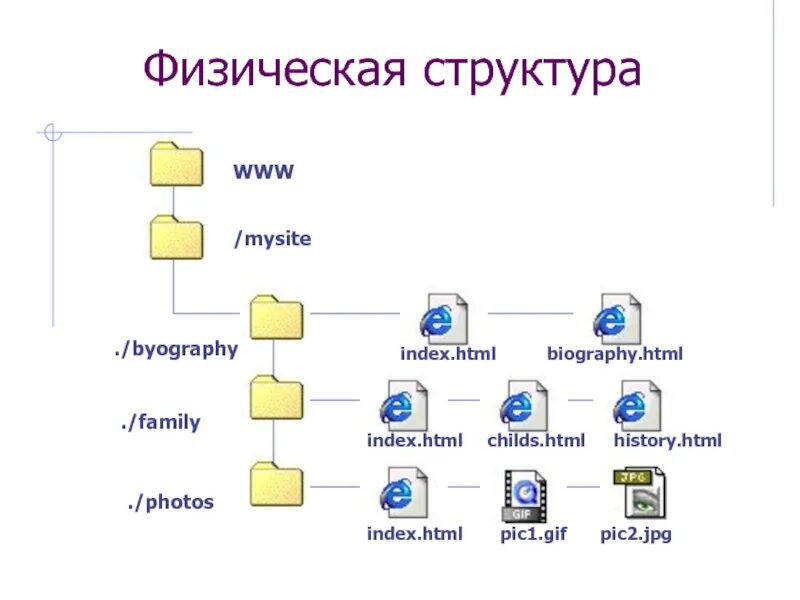 Главный файл сайта. Логическая и физическая структура сайта. Физическая структура сайта. Древовидная структура сайта. Физическая структура веб сайта.