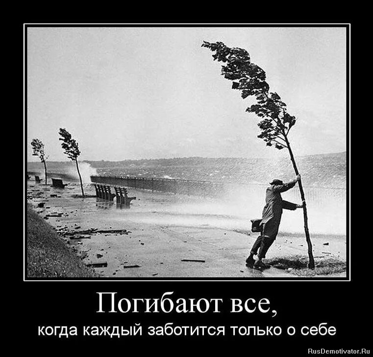 Всегда против ветра