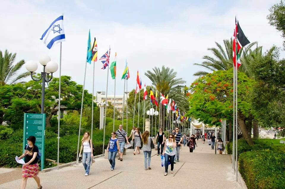 Tel university. Campus tel aviv. tel aviv university students book.