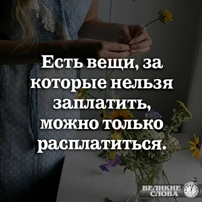 фредерик бегбедер цитаты. одежда на благотворительность. почему человек покупает дешевые вещи. одежда на благотворительность. самые важные вещи вовсе не вещи.