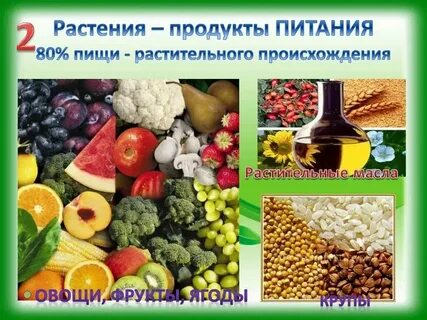Из предложенного списка выберите пищевые продукты