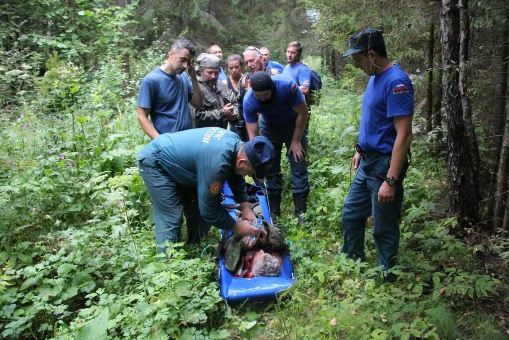 Поисковая группа в лесу. Спасатели в лесу. МЧС ищут человека в лесу. Организации занимающиеся поиском