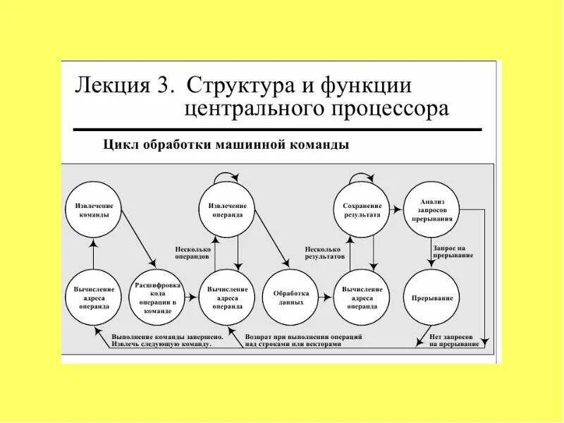 Команды современного процессора. Многоуровневая структура организации. машинный цикл обработки команды. структура машинной команды. цикл процессора.
