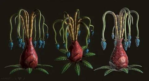 Plant sci