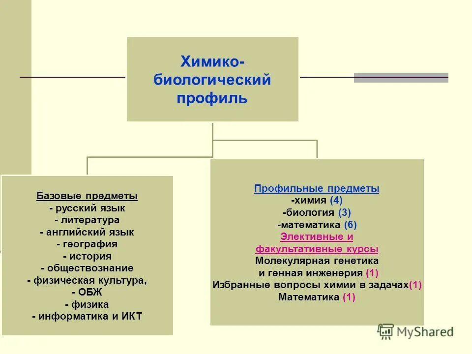Химбио класс предметы. Физико-математический класс в школе предметы. Физико-математический класс в школе предметы. Химбио классы. Химбио класс предметы.