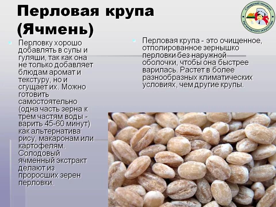 Перловая каша из какой крупы. Перловая крупа зерновая культура. перловая крупа из какого злака. перловая каша зерновая культура. перловую крупу изготавливают из.