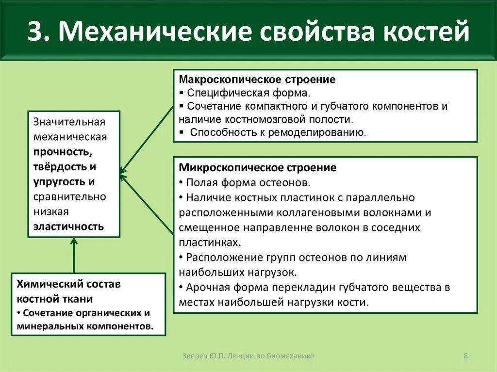 Механические свойства кости характеризуются:. Механические свойства костной ткани. Механические костные свойства. Строение и свойства костей. Химические свойства костей человека