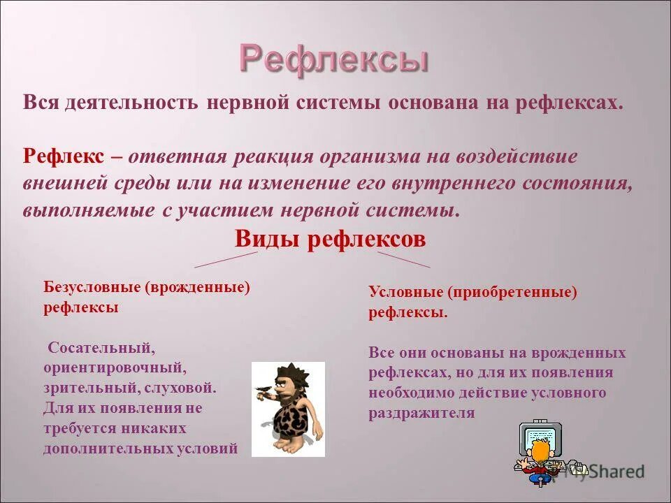 Рефлекс это ответная реакция. Ответная реакция ориентировочного рефлекса. Виды рефлексов.