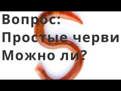 Пусть всегда вас гложет червь сомнения